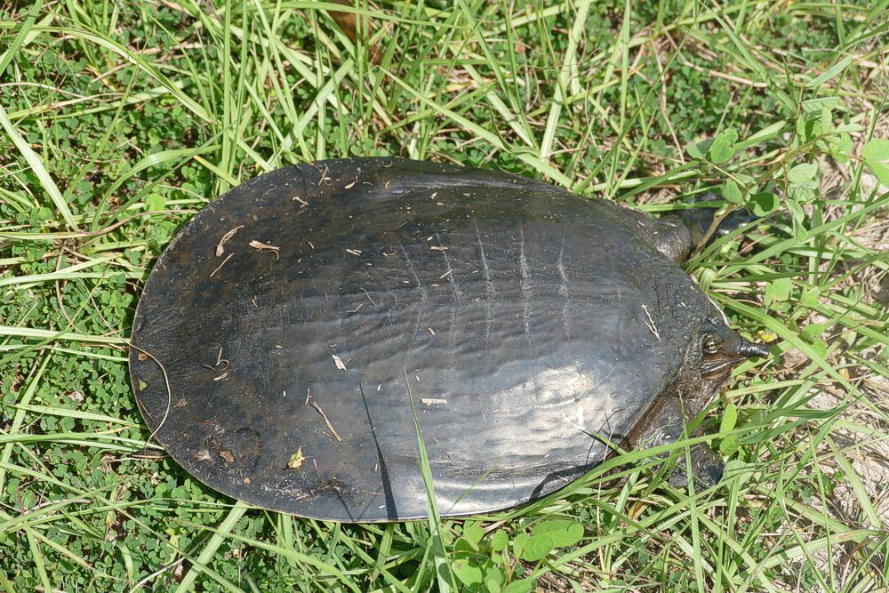 Click to See Next Image